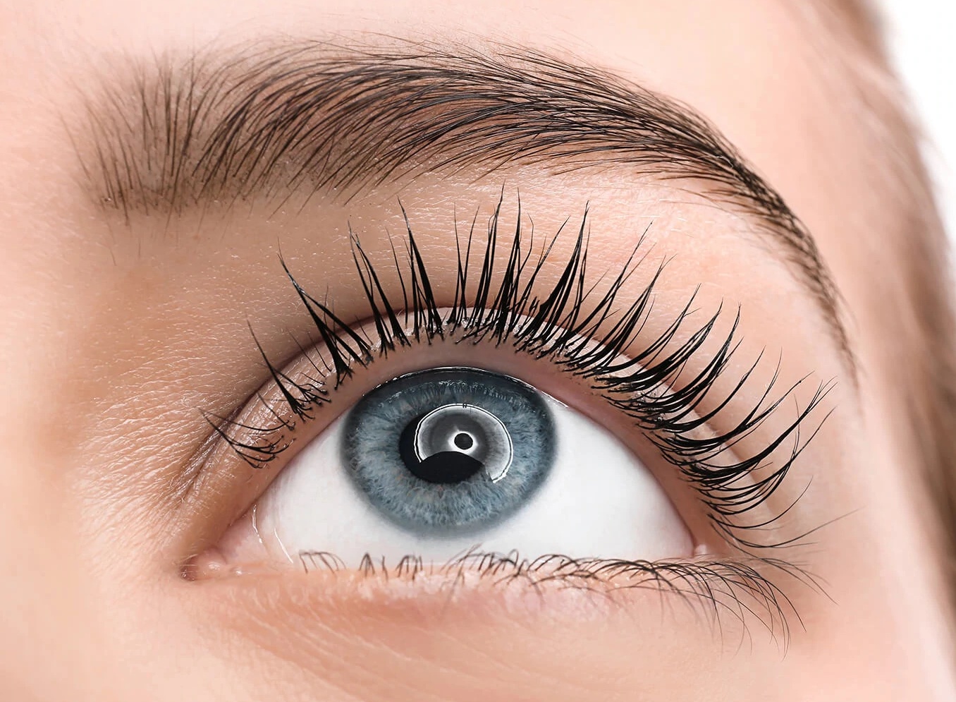 lash-tint-with-bottom-lash-lift