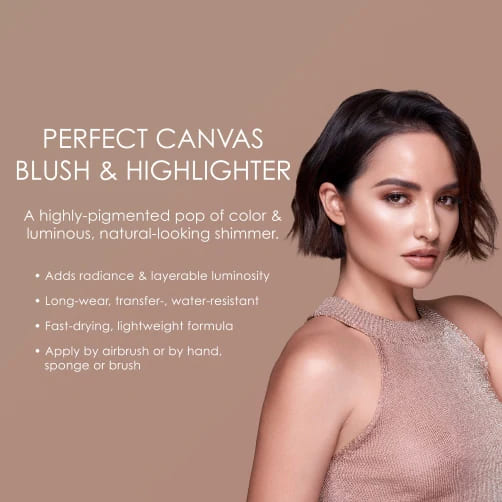 perfect-canvas-blush-highlighter-starter-set-4